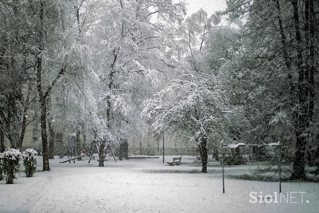 Sneg sneženje Ljubljana