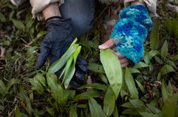 Sezona se je šele dobro začela, a sta umrla že dva človeka. Zdravnik Brvar z opozorilom.