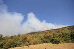 Gasilci požar na območju Velikega Rogatca obvladujejo