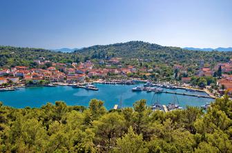 Na hrvaškem otoku Ugljan invazija divjih svinj. "Več jih je kot prebivalcev."