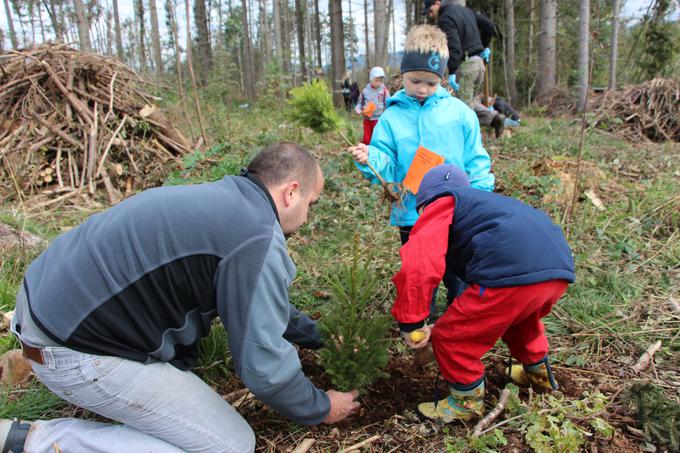 Pogozdovanje otrok in staršev iz Vrtca Postojna | Foto: Turistično društvo Bled