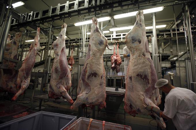 Tako košer kot halal velevata poseben zakol živine. | Foto: Reuters