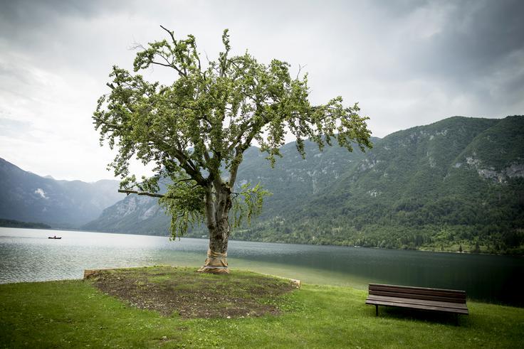 Merino volni so primešali vlakna iz bukovega lesa, s tem pa so dobili izjemno mehek material, ki zagotavlja udobje nošenja. | Foto: Ana Kovač
