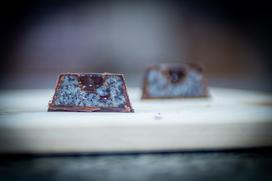 Maks Pogačnik, Molinet