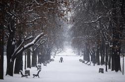 Obilno sneženje ohromilo Bolgarijo