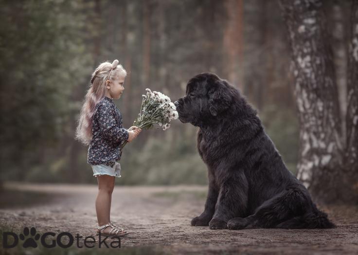 Dogoteka, novo 7 | Foto: 