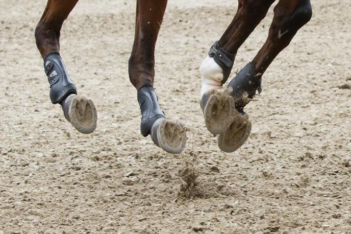 konjeništvo | Foto Sportida