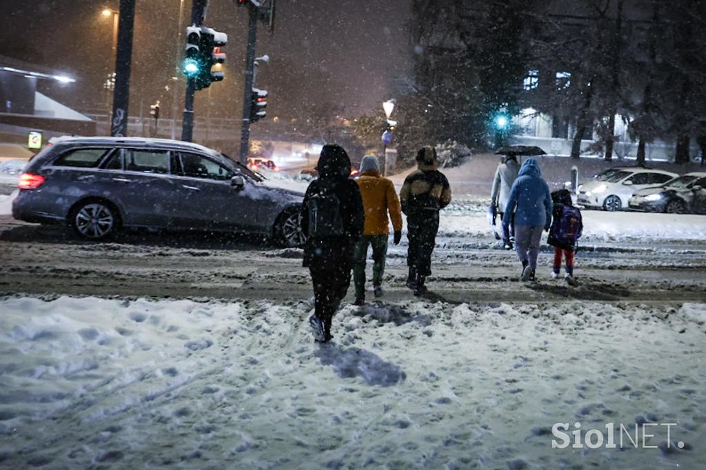Sneg v Ljubljani