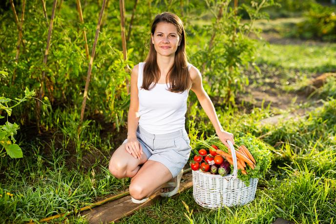 vrt vrtnarjenje vrtičkar | Foto Shutterstock