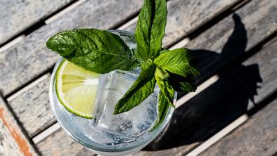 Znate zmešati popoln gin tonic? #video