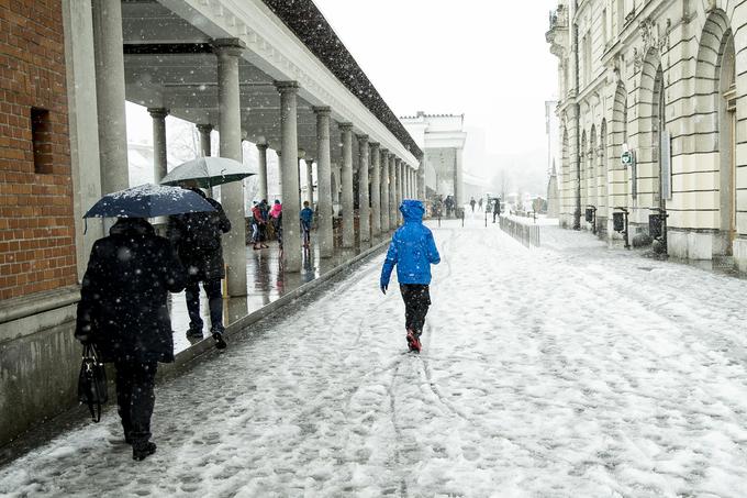 Letošnja zima za zdaj ni bila pogata s snežnimi pošiljkami. | Foto: Ana Kovač