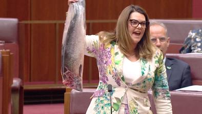 Avstralska senatorka med nastopom šokirala z lososom #video