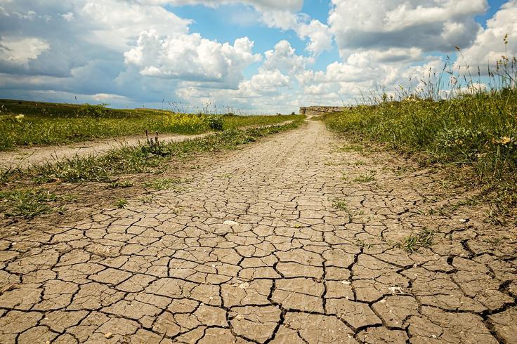 Ko zemlja poka od vročine, se spomnimo, da so klimatske spremembe in vročinski valovi realnost, ki prizadene tudi naravo. | Foto: Astech d.o.o.
