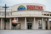 Fructal