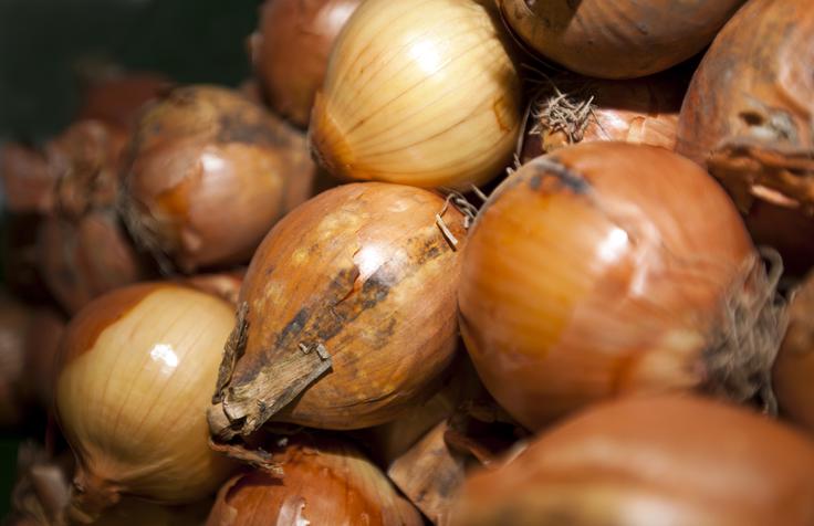 Čebula je izredno dobra za spodbujanje imunskega sistema – tudi v okusnih omakah! | Foto: Thinkstock