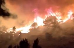 Obsežen požar na hrvaškem otoku: na delu 70 gasilcev in tri letala, prihaja dodatna pomoč #video