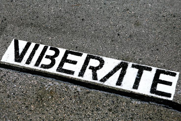 Viberate | Foto: STA ,
