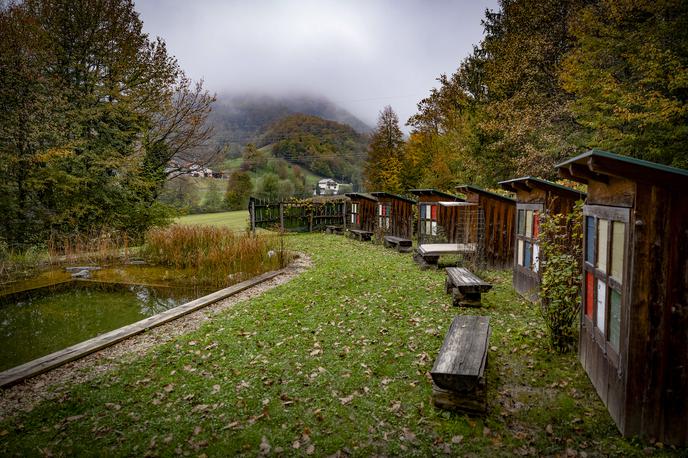 turistična kmetija pomona | Foto Ana Kovač