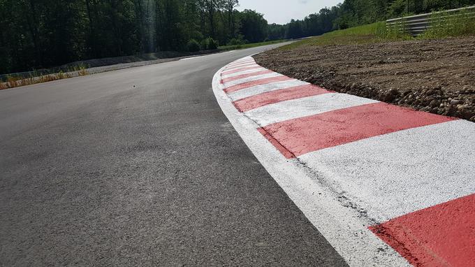 Najboljši z izbora bo vozil na vseh štirih, drugi na treh, tretji na dveh dirkah, preostali izbranci pa na eni dirki. | Foto: Gregor Pavšič