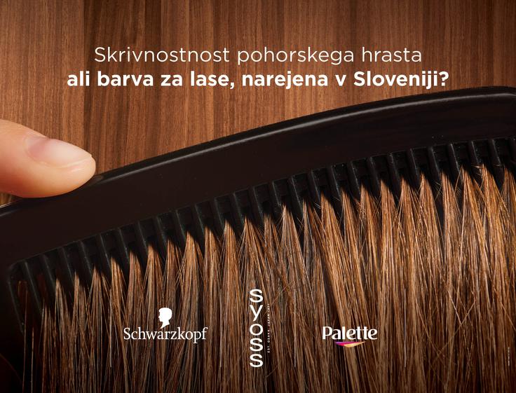 Agaric iVents- Henkel | Foto: Henkel Slovenija d.o.o.