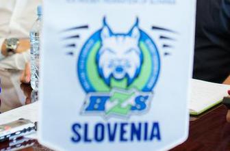 Olimpija odgovarja HZS: Načrtna in slabonamerna provokacija