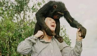 Umrla je Jane Goodall