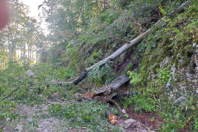 neurje, nevihta, veter, Slovenija | Na območju Maribora je bilo v zraku tudi protitočno letalo. | Foto Slovenski državni gozdovi/Facebook