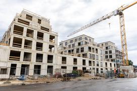 Bežigrajska petka, avgust 2025