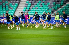 trening slovenske nogometne reprezentance, Stožice, San Marino