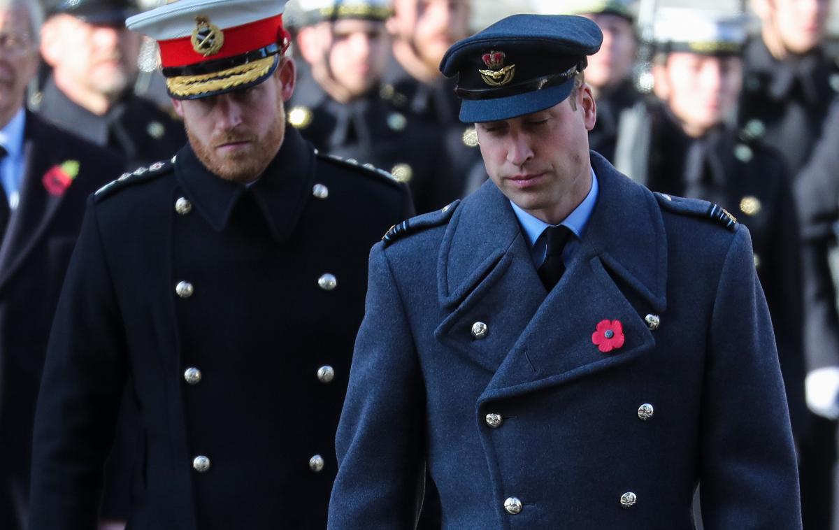 princ Harry, princ William | William naj bi bil zelo žalosten, ker se je brat dokončno umaknil. | Foto Cover Images
