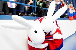 Kdo sta zajca, ki ob hokejistih kradeta pozornost? (foto)