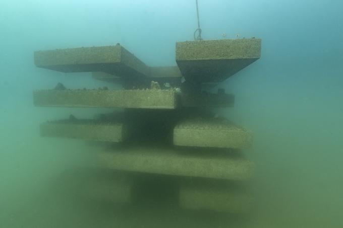 Podvodna struktura dober kilometer od slovenske obale | Foto: Borut Furlan