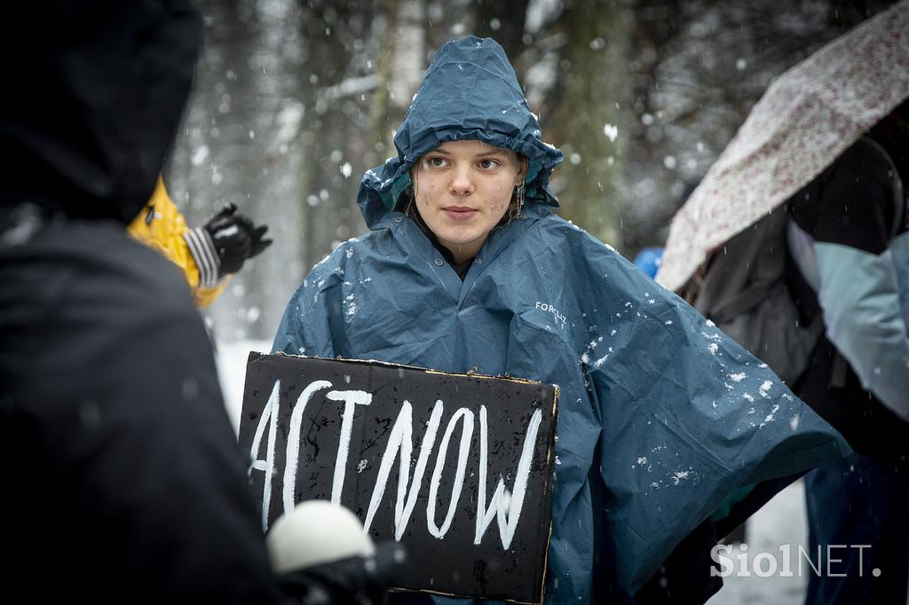 Protest proti sečnji gozda na Rožniku