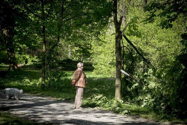 Gozd ima kompleksno bivanjsko dinamiko, ki jo je treba spoštovati in upoštevati. | Foto: Ana Kovač
