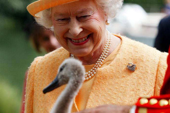 Kraljica Elizabeta in labod | Foto Getty Images