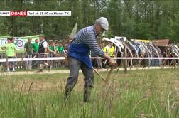 V Veliki Polani so se pomerili v košnji trave (video)