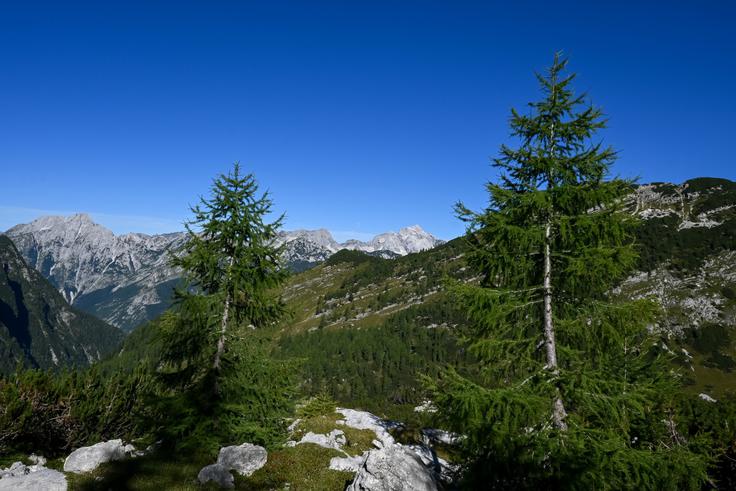 Pogled nazaj proti Bavškemu Grintavcu, za Ozebnikom pa pokuka ven Jalovec. | Foto: Matej Podgoršek