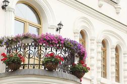Nasveti za lepo balkonsko cvetje