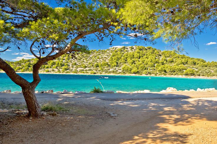 Plaže na Murterju slovijo po svoji naravni lepoti, obdaja pa jih kristalno čisto morje. Majhnost otoka vam omogoča, da ste vsak dan na drugi plaži. Izbirate lahko med peščenimi ali prodnatimi plažami, senčnimi ali takšnimi z obilo sonca. Na majhnih razdaljah lahko izbirate med najlepšimi plažami v tem delu Dalmacije. | Foto: Shutterstock
