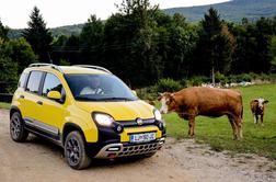 Fiat panda 1.3 multijet 4×4 cross – malček, ki sanja o Dakarju in za seboj pusti večino terencev