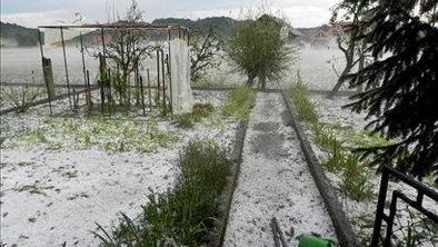 KGZS bo oškodovanim kmetom odpisala zbornični prispevek