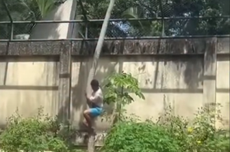 Devetnajstletnik splezal v ogrado k levinji. Ubila ga je pred obiskovalci.