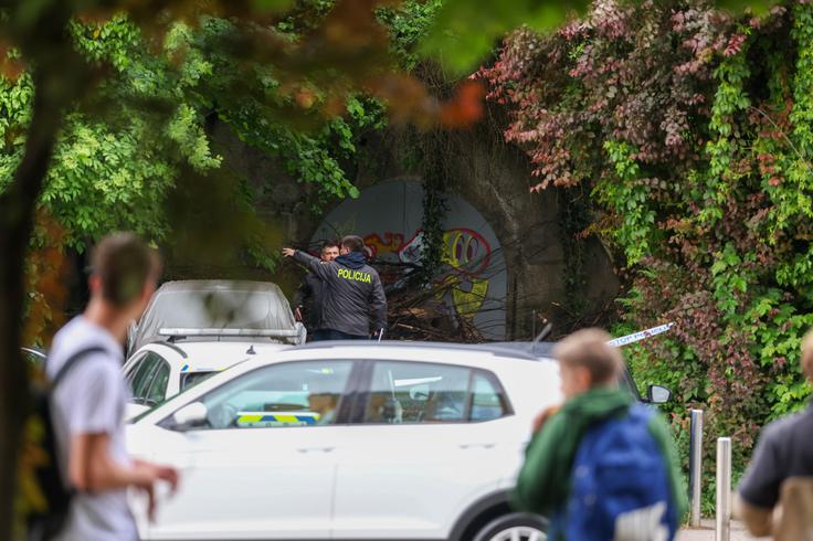 Tivoli, napad, preiskava, policija | Foto: STA