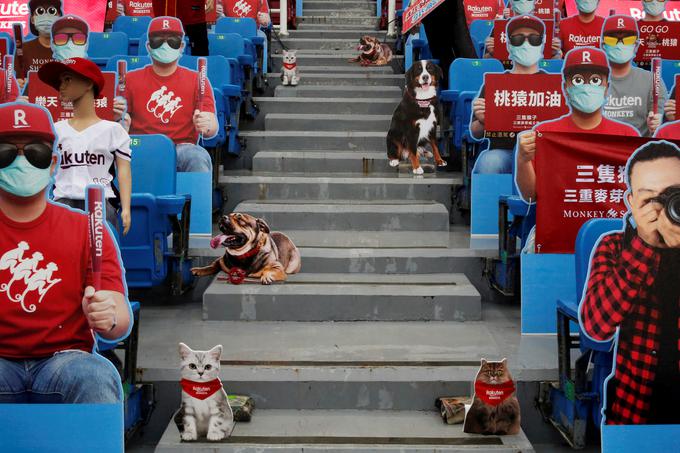 Organizatorji so poskrbeli za vse, tudi za kartonaste hišne ljubljenčke.  | Foto: Reuters