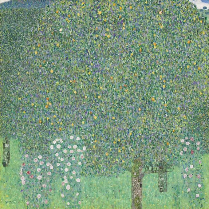 Slika Rosiers sous les arbres, ki jo je Gustav Klimt naslikal leta 1905. | Foto: Thomas Hilmes/Wikimedia Commons