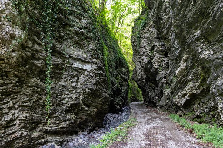 Nekaj korakov z glavne ceste je zanimiv vstop v sotesko Driselpoh. | Foto: Matej Podgoršek