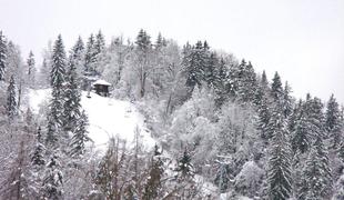 Blejska Straža v pogonu že sredi decembra?