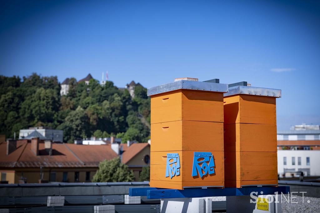 Urbani čebelar Ljubljana