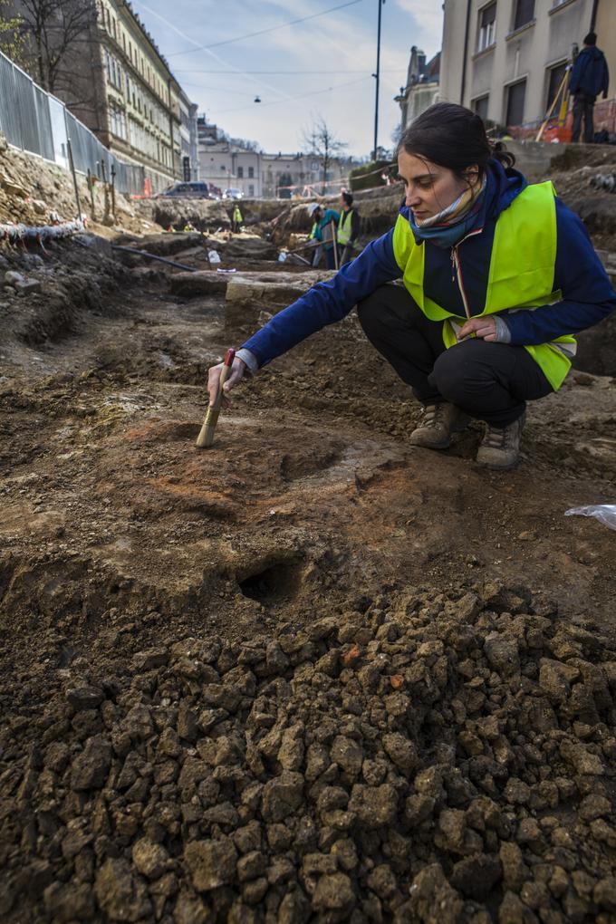 Tokratna izkopavanja na dveh območjih v dolžini 90 metrov opravljata dve ekipi izkopavalcev. | Foto: Matija Lukić