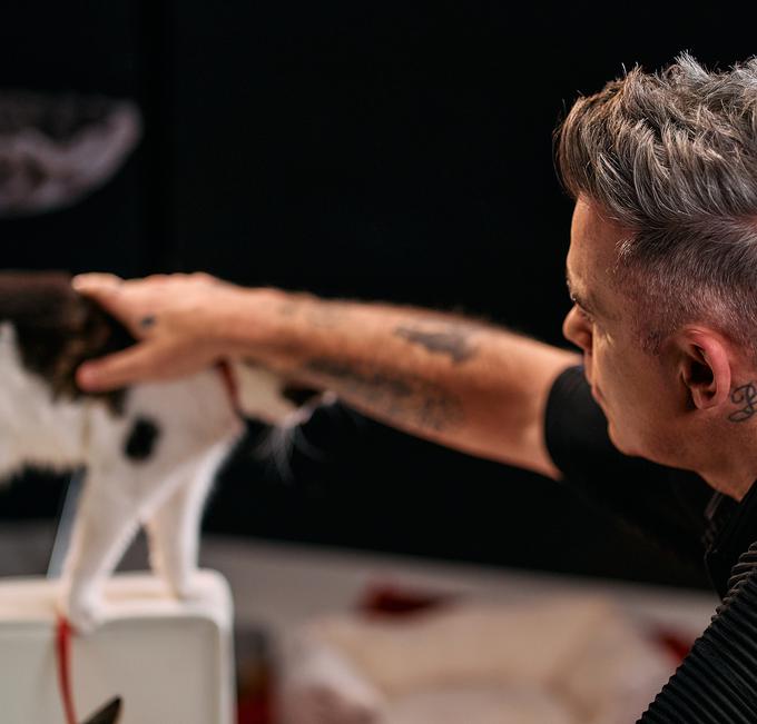 Robbie Williams, Purina, Felix | Foto: Nestle Adriatic